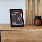 HAAS F1 Team