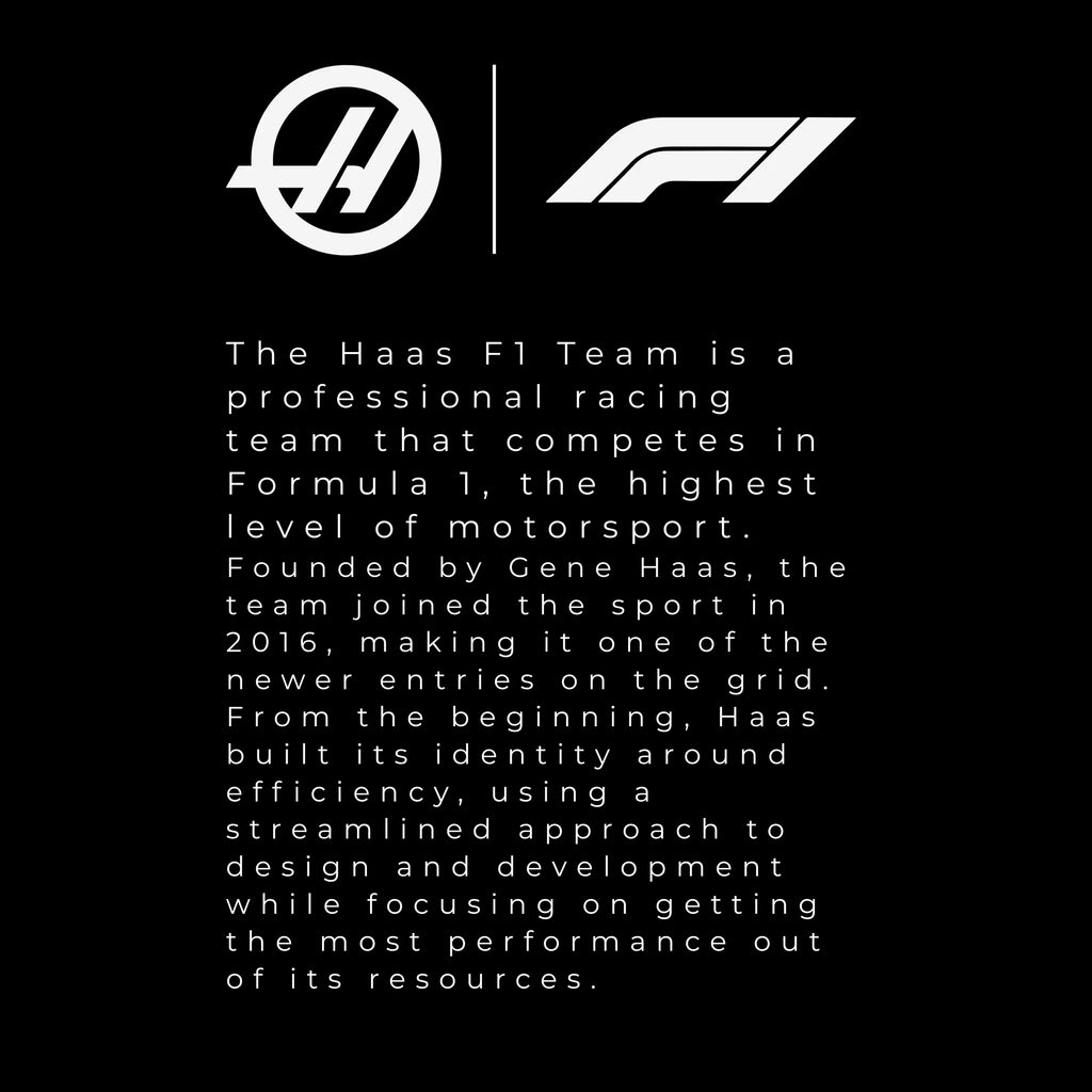 HAAS F1 Team